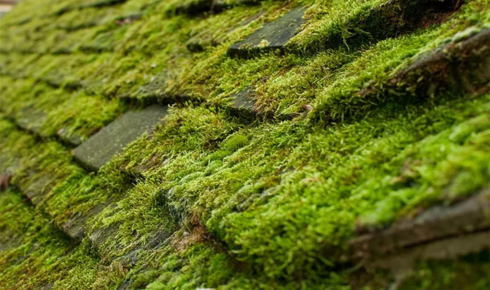 How can making sure rooftop drains are not blocked protect the structure below