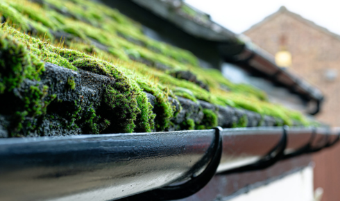 How can noticing moss or algae on certain roof areas point to moisture or shade problems