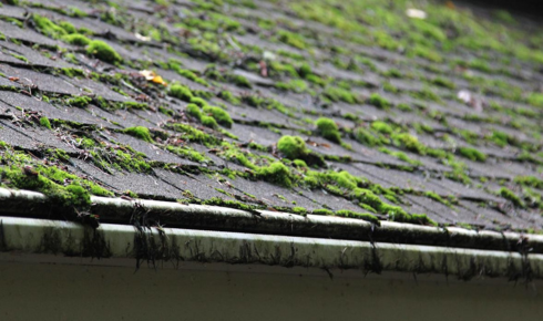 Why should you pay attention to any whistling or rattling noises during strong winds